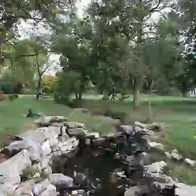 Peace Park