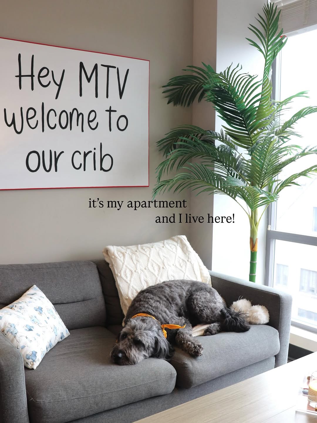 Taking a closer look at Maggie's apartment! \ud83d\udcf8\ud83c\udfe1\n\nCome see what life could be like living at Rise On 9th\n\n