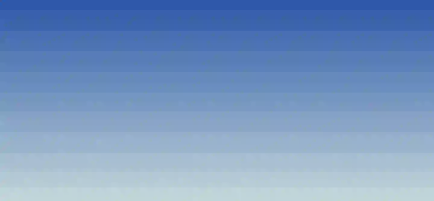 RISE brand background pattern